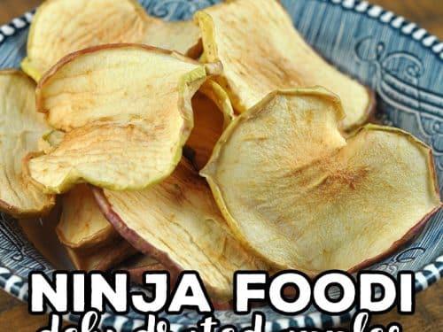 Ninja Foodi Apple Chips (Dehydrated) - Mommy Hates Cooking